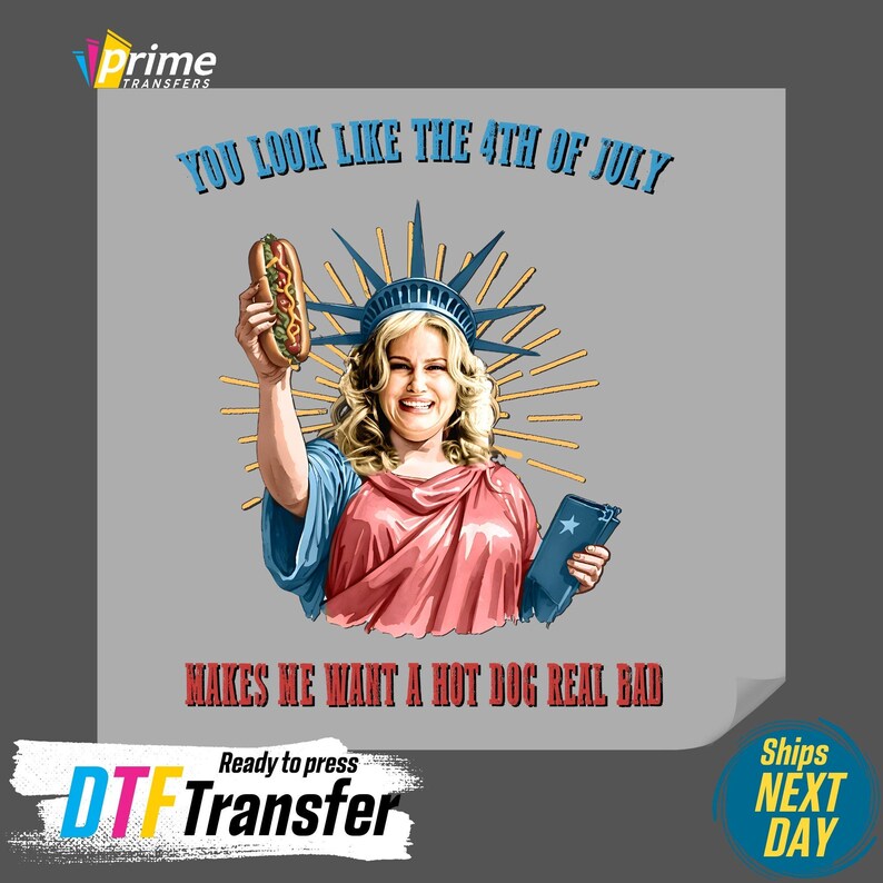 You Look Like The 4th Of July Hotdog Makes Me Want A Hotdog Real Bad DTF Heat Transfer, Statue Liberty Ready to Press, Independence DTF