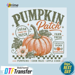 May include: A graphic transfer design featuring a large orange pumpkin with green leaves and a flower. Text includes PUMPKIN PATCH, FRESH FROM THE PATCH, FARM FRESH, LOCALLY GROWN, AUTUMN PICKED, PUMPKINS, CORN MAZE, and APPLE CIDER in green and orange.