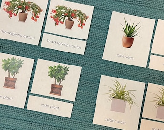 Tarjetas de 3 partes de plantas de interior, tarjetas clasificadas, 18 plantas comunes en el aula, tarjetas Montessori de 3 partes, tarjeta de nomenclatura Montessori, plantas de interior