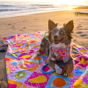 Könnte beinhalten: Ein glücklicher Hund mit einem bunten Halstuch und Leine, der auf einem Strandtuch mit Fruchtdesign liegt. Das Tuch zeigt Muster von Wassermelone, Kiwi und anderen Früchten in leuchtenden Farben. Der Hund liegt an einem Sandstrand mit Meer und Sonnenuntergang im Hintergrund.