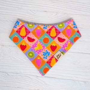 May include: A colorful dog bandana with a vibrant fruit pattern. The bandana features squares of oranges, strawberries, kiwi, grapes, pears, and watermelon. The background is a mix of pink, orange, and blue. The tag says "Say Fetch".