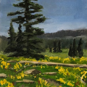 Alpine Meadow