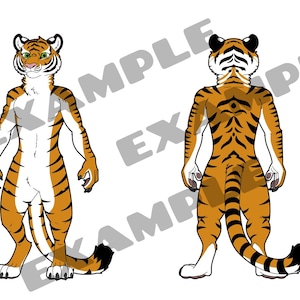 May include: Illustration of a tiger character in a standing pose, with front and back views. The tiger has orange fur with black stripes, white underbelly, and a black-tipped tail. The character has a friendly expression.