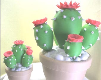 Cactus, Blooming – 3D Printed Potted Plant