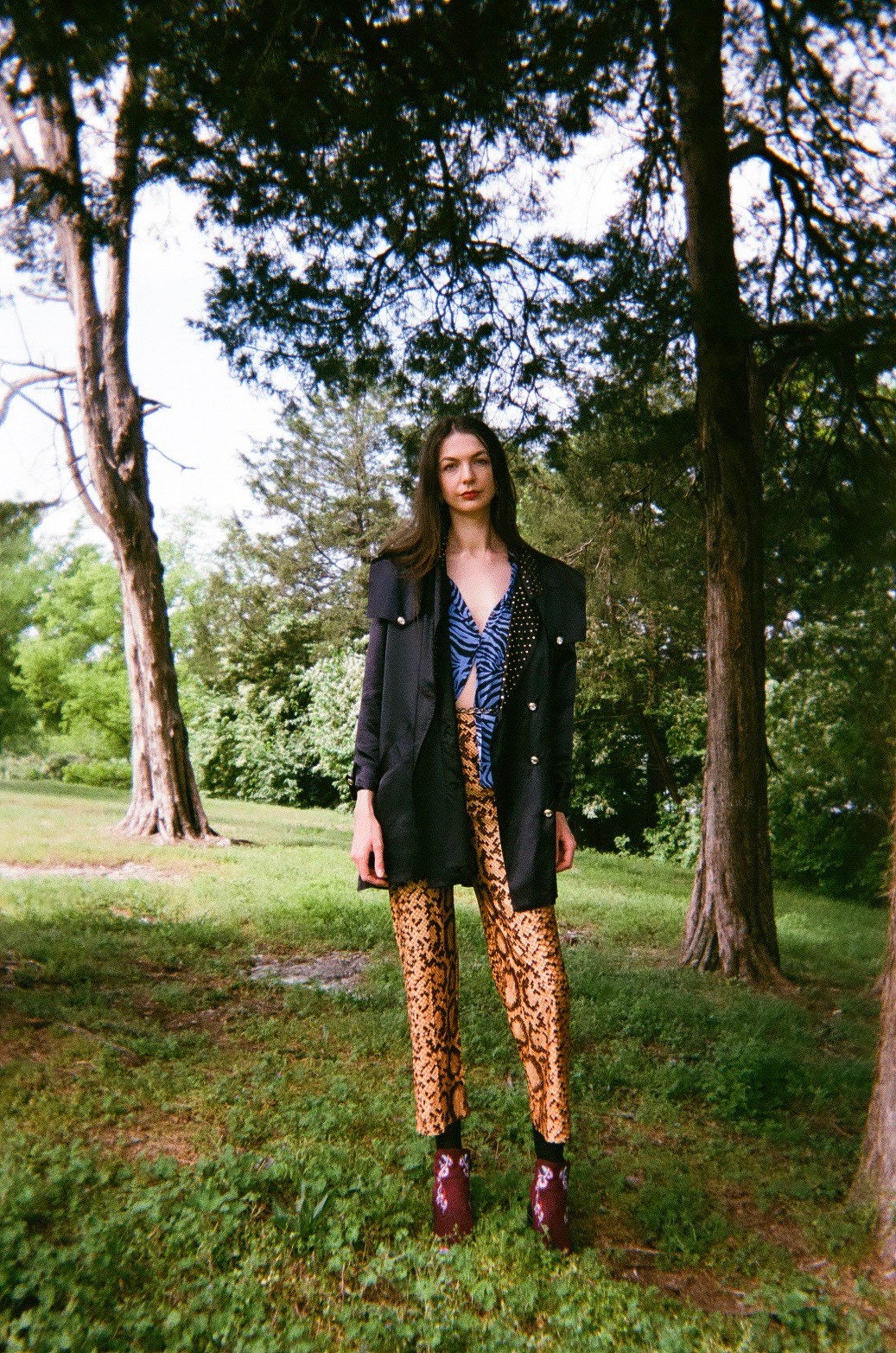 70s Snakeskin Printed Trouser Pants / Sixties Seventies High Waist ...