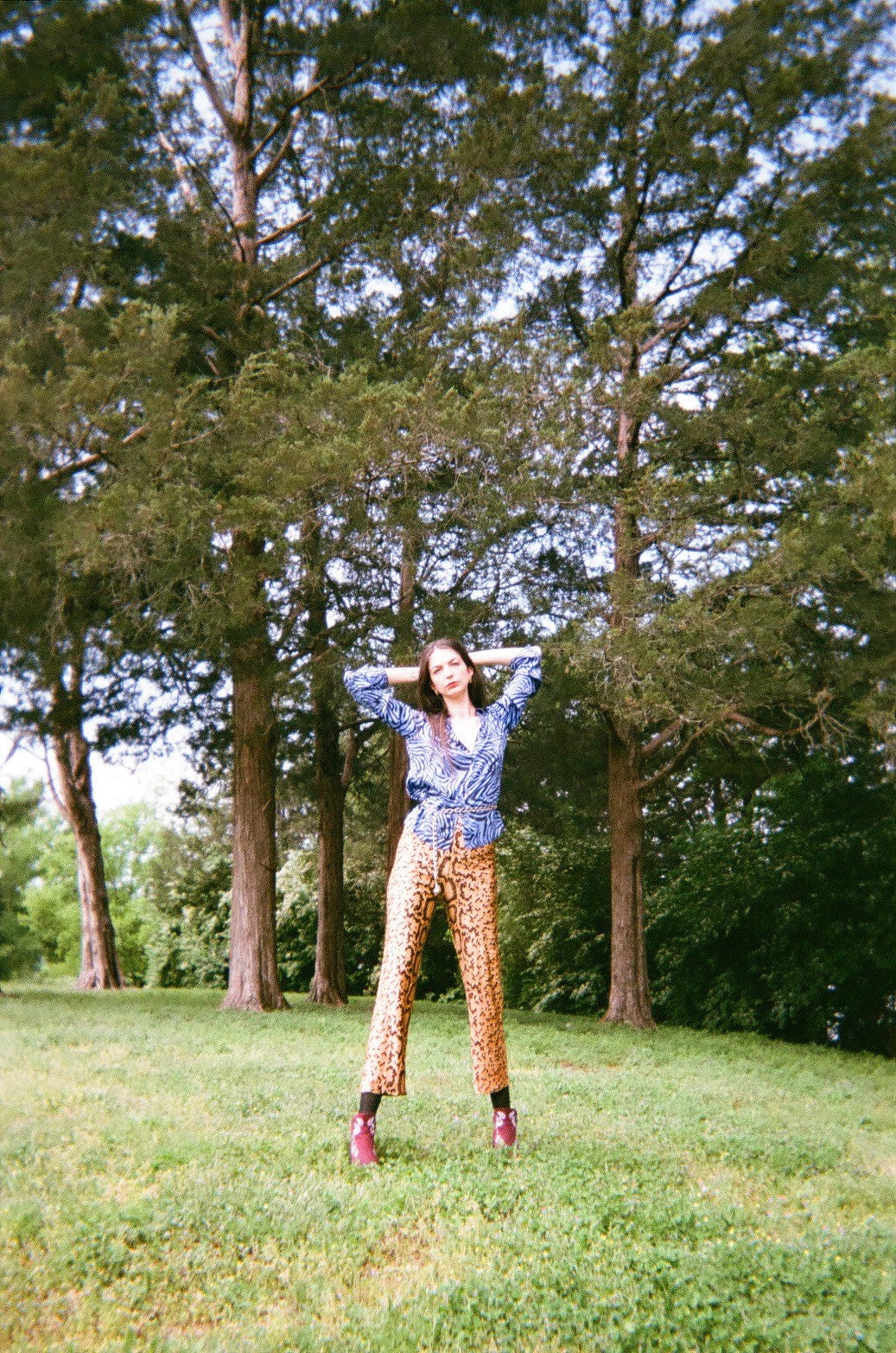 70s Snakeskin Printed Trouser Pants / Sixties Seventies High Waist ...