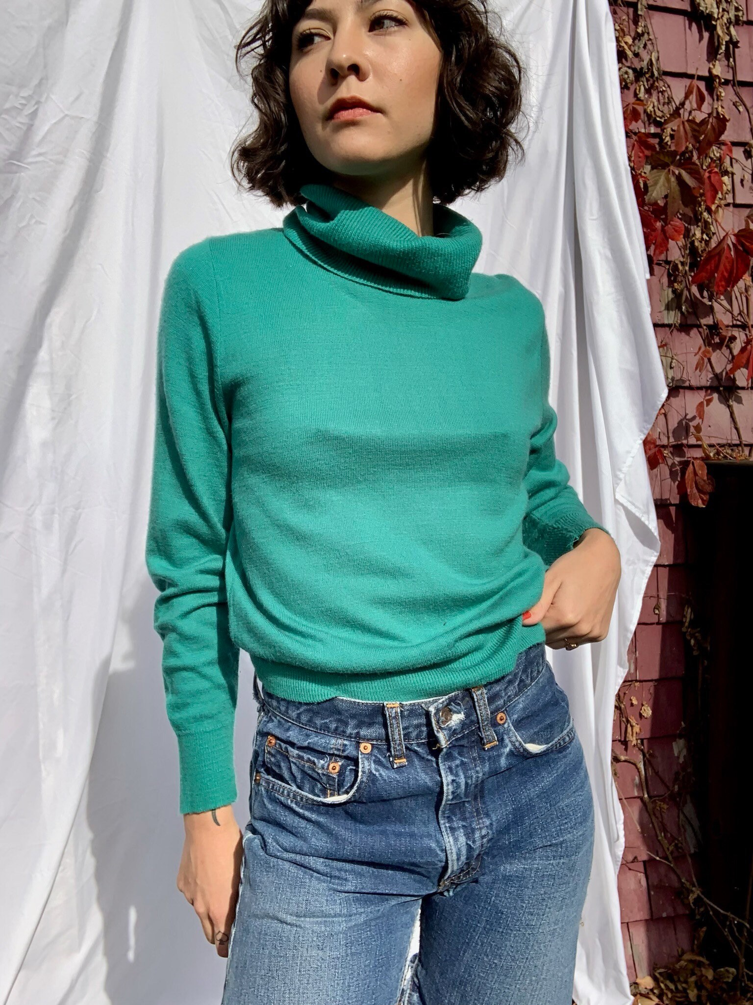 1970's Turtleneck Sweater Knit Top Preppy High Turtleneck