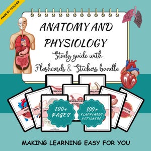 Anatomy & Physiology Study Guide: Flashcards and Notes (PDF)