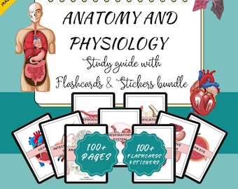 Guida allo studio di anatomia e fisiologia: schede didattiche e appunti (PDF)