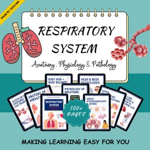 Respiratory System Study Guide: Nursing Notes, Anatomy & Disorders (Digital Download)