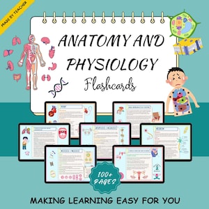 Tarjetas de estudio de anatomía y fisiología - Guía de estudio de anatomía y fisiología - Guía de estudio de enfermería - Anatomía y fisiología - Apuntes médicos