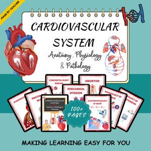 Système cardiovasculaire, Notes cardiaques, Notes de soins infirmiers, Notes cardiovasculaires, Infirmière en cardiologie, Anatomie et physiologie Notes
