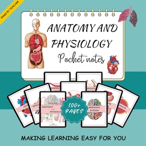 Anatomy Physiology Study Guide - Physiology Notes - Anatomy Notes Bundle - Nursing Study Guide - Anatomy and Physiology - Medical Notes