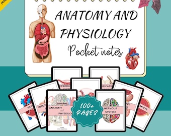 Anatomy Physiology Study Guide: Medical Notes Bundle
