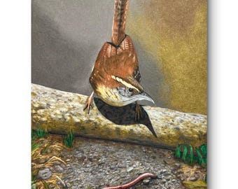 Early Bird - Colored Pencil Drawing - Art Print