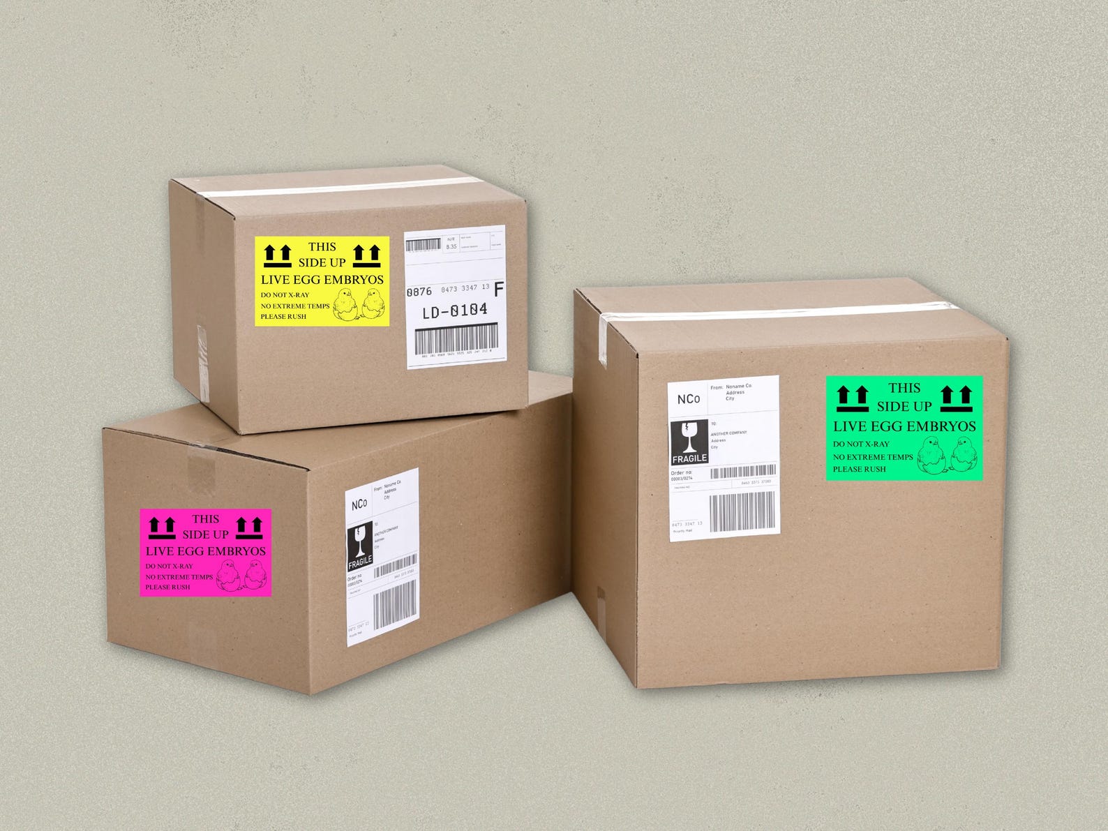 Printable Hatching Eggs Shipping Labels | Fragile & This Side up Design ...