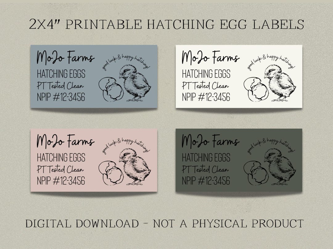 Custom Hatching Egg Carton Labels, Hatched Chick Design, Personalized ...
