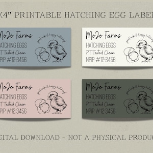 Puede incluir: Cuatro etiquetas rectangulares de 5,08 cm x 10,16 cm con el texto "Mojo Farms Hatching Eggs". Cada etiqueta presenta una ilustración de pollito y el texto "PT Tested Clean" y "NPIP #12-3456". Las etiquetas son en tonos azul, rosa, blanco y gris.