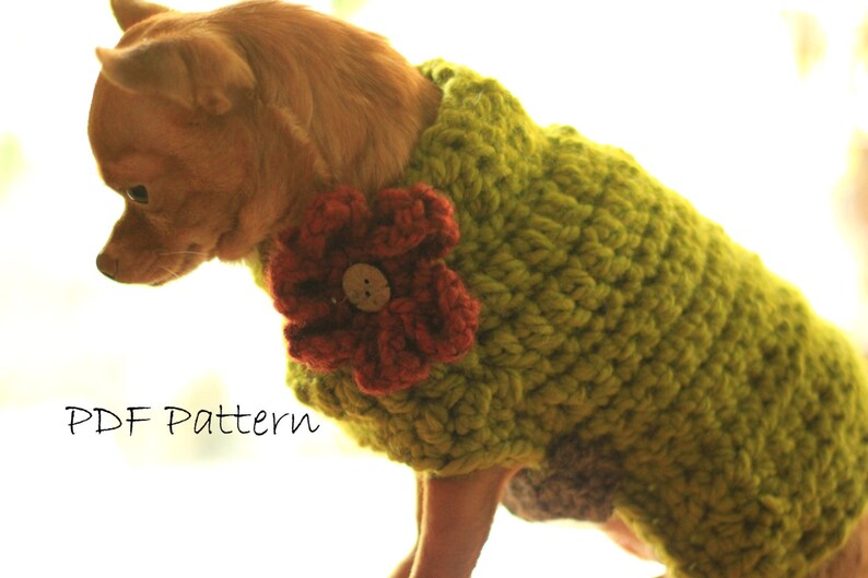 Pattern crochet dog sweater chunky with flower small dog Etsy