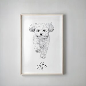 Könnte beinhalten: Gerahmte Schwarz-Weiß-Skizze eines flauschigen Hundes, der auf den Betrachter zuläuft. Der Hund hat große, schlaffe Ohren und einen freundlichen Gesichtsausdruck. Der Name "Alfie" steht in Schreibschrift darunter.