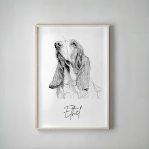 May include: A framed black and white line drawing of a Basset Hound looking upwards. The dog's name, "Ethel", is written in cursive script below the image. The artwork is displayed in a light-coloured wooden frame.