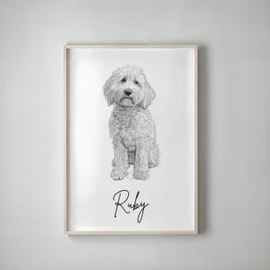 Könnte beinhalten: Gerahmte Schwarz-Weiß-Skizze eines flauschigen Hundes, der aufrecht sitzt. Der Hund hat ein lockiges Fell und einen sanften Ausdruck. Der Name "Ruby" ist in Schreibschrift darunter geschrieben.
