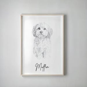 Könnte beinhalten: Gerahmte Bleistiftzeichnung eines flauschigen Hundes. Der Name des Hundes, "Muffin", ist darunter in Schreibschrift geschrieben. Der Hund steht im Mittelpunkt des Kunstwerks, mit einem sanften, liebenswerten Ausdruck. Der Rahmen ist hell.