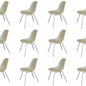May include: Twelve light beige chairs with silver legs. The chairs are arranged in four rows of three chairs each.