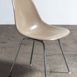 Original Eames for Herman Miller Fiberglass Molded Shell Chairs in Greige image 2