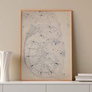 Neuron Anatomy Art Print: Santiago Ramón y Cajal Reproduction (Digital Download)