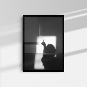 以下が含まれることがあります： 中指を立てている人の影の白黒写真です。