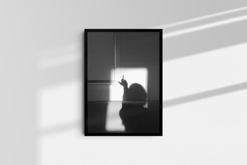 以下が含まれることがあります： 中指を立てている人の影の白黒写真です。