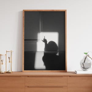 以下が含まれることがあります： 壁に掛けられた木製のドレッサーの上に、手ぶりをする人の影を捉えた白黒写真が額装されています。影は白い壁に映し出されています。