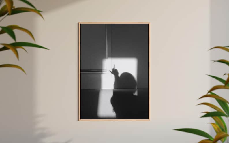以下が含まれることがあります： 壁と床に映る、中指を立てた人の影の白黒写真です。