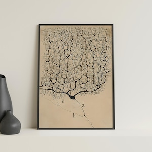Neuron Painting Print: Santiago Ramón y Cajal Reproduction (Digital Download)