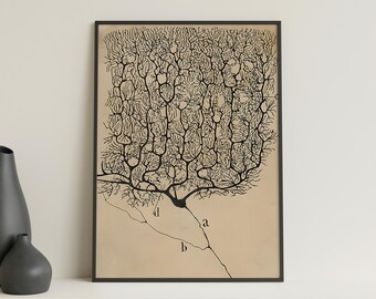 Santiago Ramón y Cajal - Neuron painting, Neuron Painting, Reproduction Canvas, Museum Collections 1