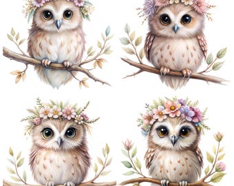 水彩の赤ちゃんフクロウのクリップアート | デジタル DIY クラフト