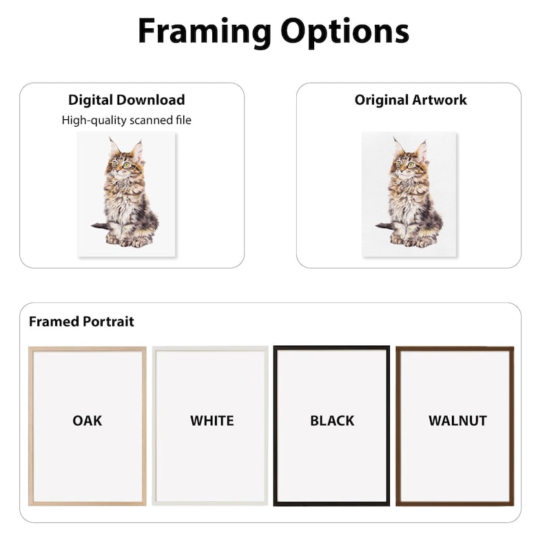 Puede incluir: La imagen muestra opciones de enmarcado para un retrato de gato. Incluye una descarga digital, la obra de arte original y retratos enmarcados en marcos de roble, blanco, negro y nogal. El texto "Framing Options" est&aacute; en la parte superior.