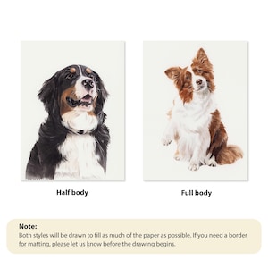 Puede incluir: Dos retratos de perros sobre papel blanco. Uno es un medio cuerpo de un boyero de Berna, el otro un cuerpo completo de un Border Collie. El texto debajo dice "Half body" y "Full body". Una nota explica los estilos de dibujo.