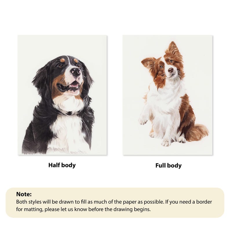 Puede incluir: Dos retratos de perros sobre papel blanco. Uno es un medio cuerpo de un boyero de Berna, el otro un cuerpo completo de un Border Collie. El texto debajo dice "Half body" y "Full body". Una nota explica los estilos de dibujo.