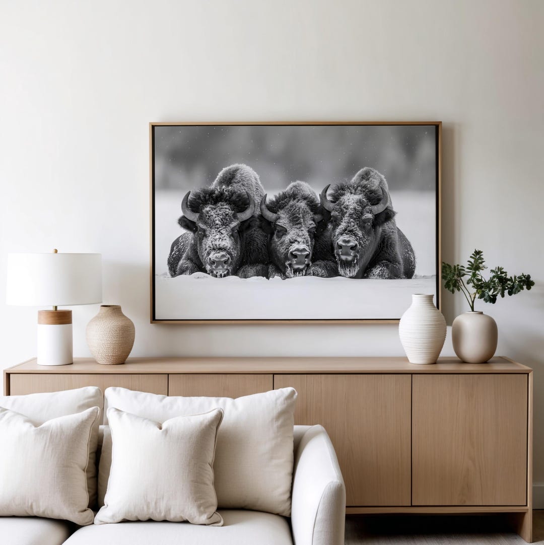 Bison & Highland Cow Wall Art | Rustic Farm Animal Prints | Western ...