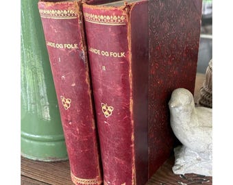 Coppia di libri decorativi antichi in piena pelle rossa, 1910, danesi, Lande Og Folk
