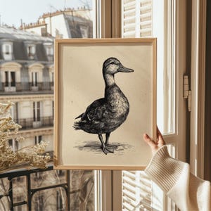A vintage duck print elegantly framed in light wood is held up by a sunlit window overlooking charming Parisian architecture, evoking a whimsical, cozy atmosphere.