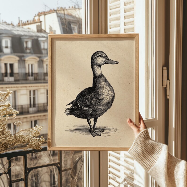 A vintage duck print elegantly framed in light wood is held up by a sunlit window overlooking charming Parisian architecture, evoking a whimsical, cozy atmosphere.