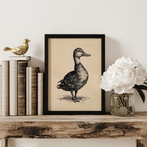 A vintage duck print with a whimsical charm is elegantly framed in black and placed on a rustic wooden shelf, adorned with books, a golden bird accent, and a glass vase of white flowers, creating a serene farmhouse wall decor setting.