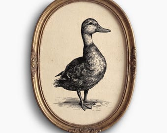 Vintage Mallard Duck Wall Art: Antique Bird Printable, Farmhouse Animal Art, Rustic Print