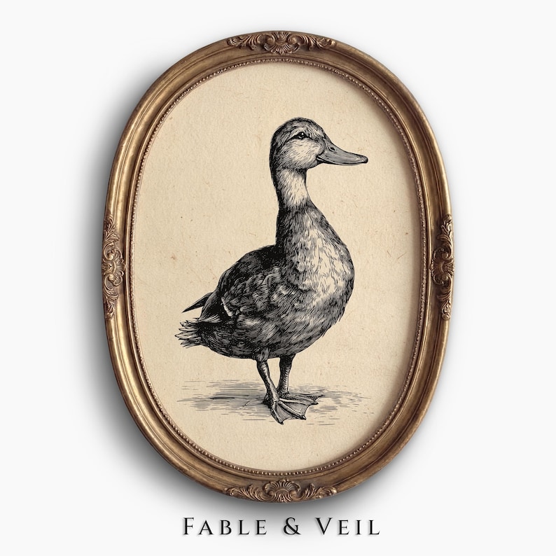 Arte mural vintage de pato silvestre: Lámina antigua para imprimir, arte animal de granja, impresión rústica imagen 1