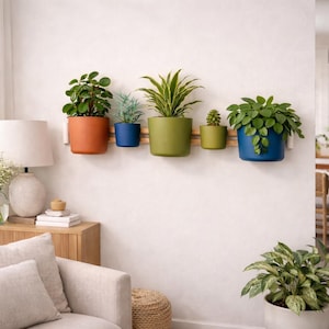 May include: A wooden wall-mounted planter featuring five plant pots in various colours, including orange, blue, and green. Each pot contains a different plant, creating a diverse display. The pots are attached to a wooden rail, offering a stylish way to display greenery.