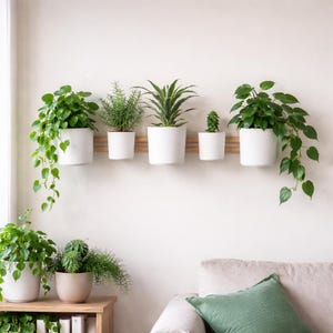 May include: A collection of potted plants in white ceramic pots, mounted on a wooden shelf against a white wall. The plants vary in size and type, including trailing vines and upright foliage. A neutral-toned sofa and wooden side table are in the foreground.