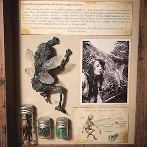 Peut inclure: Présentation encadrée avec une figurine de fée sculptée sombre, des photographies anciennes et du texte sur les fées de Cottingley. Comprend des bocaux avec des spécimens et un dessin anatomique de fée.